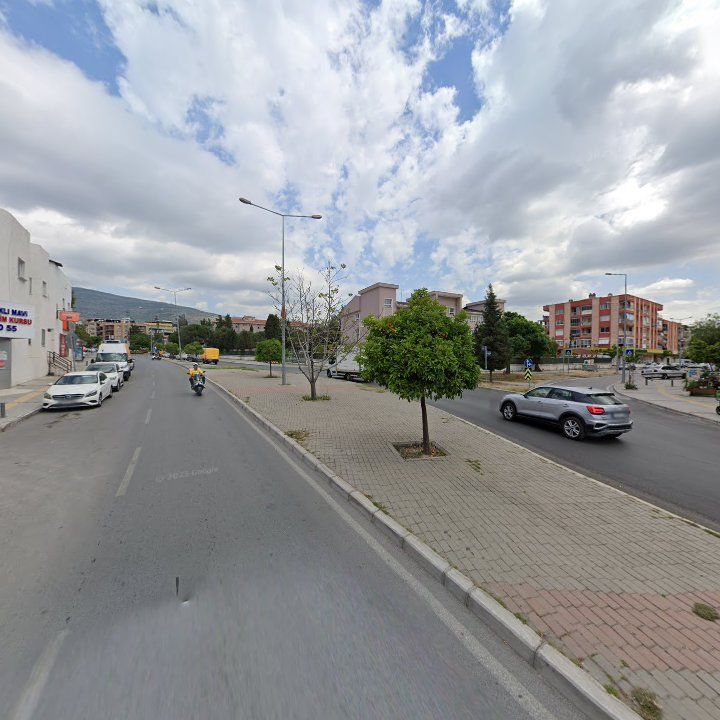 Fotoğraf 12