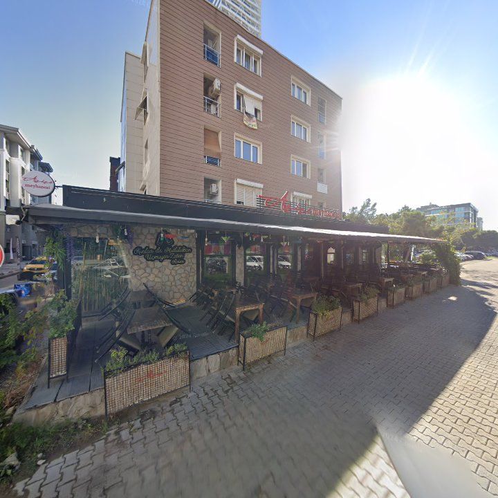 Fotoğraf 8