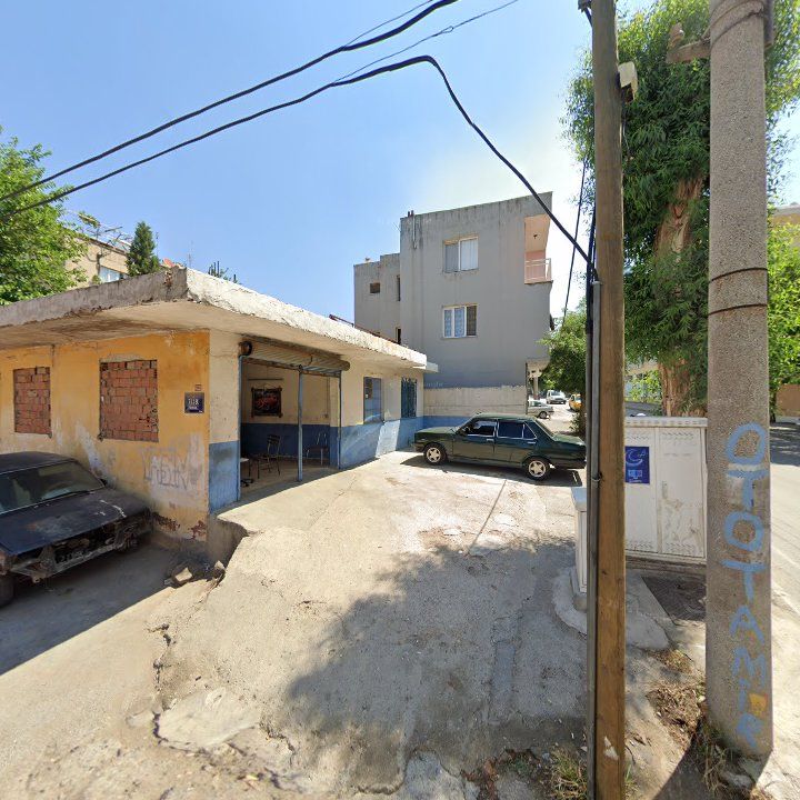 Fotoğraf 7