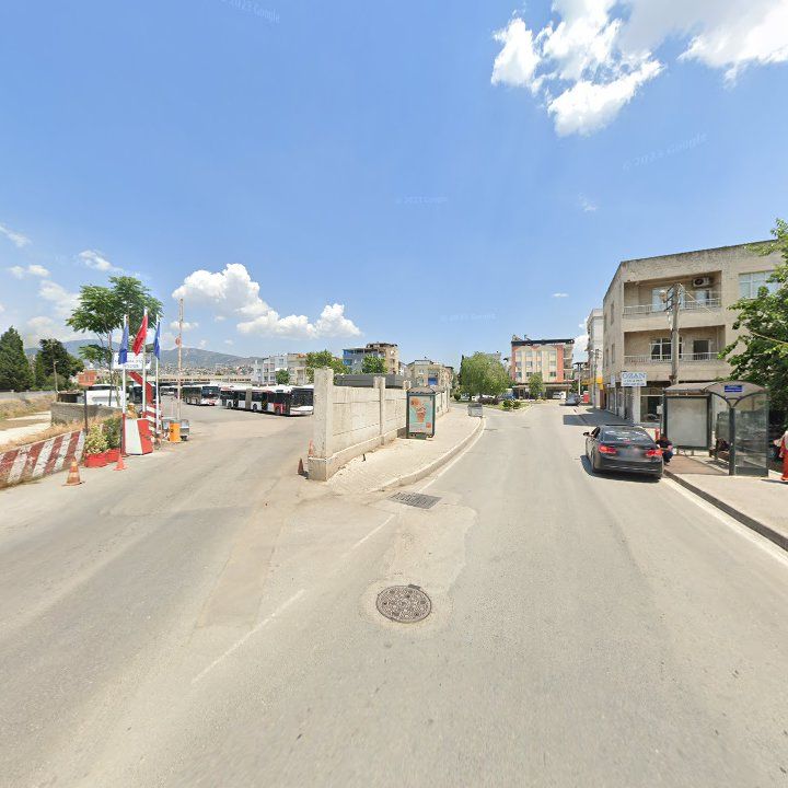 Fotoğraf 8