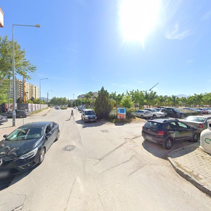 Fotoğraf 14