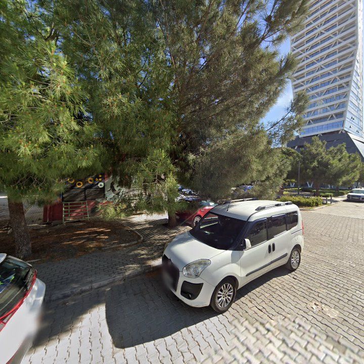 Fotoğraf 9