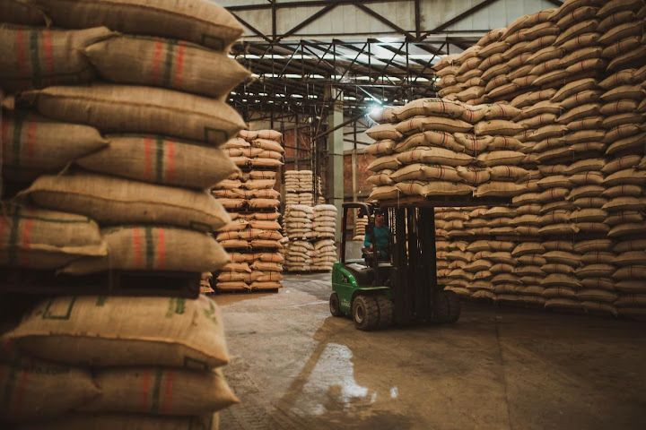 Lienzo Coffee Roastery