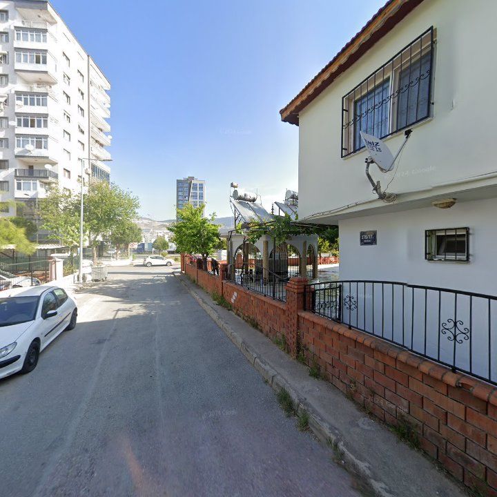 Fotoğraf 7