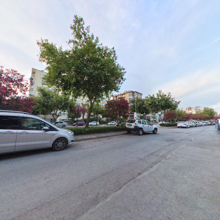 Fotoğraf 10