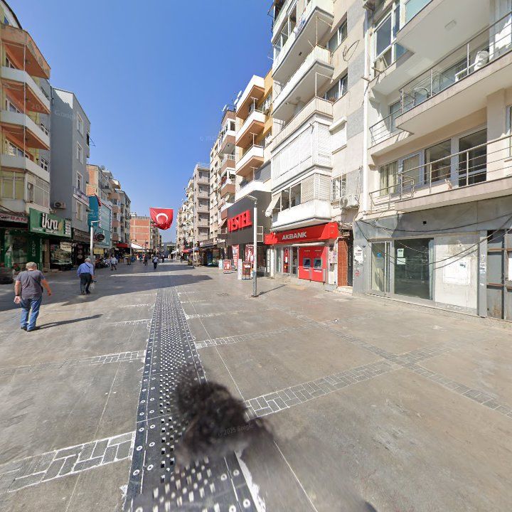 Fotoğraf 11