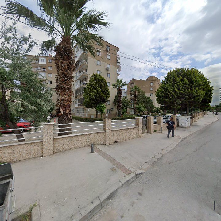 Fotoğraf 19