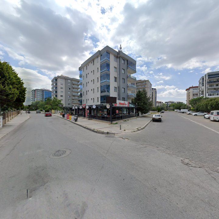 Fotoğraf 16