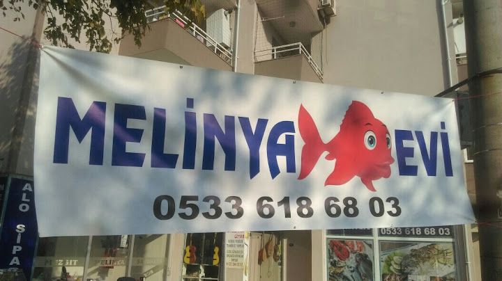 Melinya Balik Evi