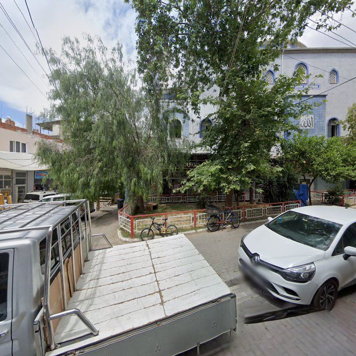 Fotoğraf 3