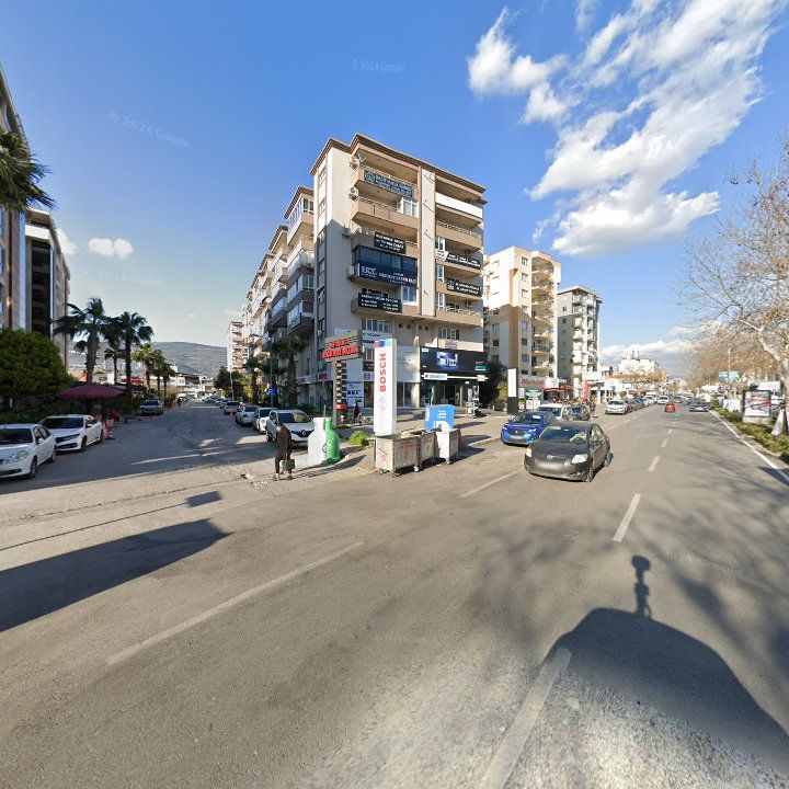 Fotoğraf 11