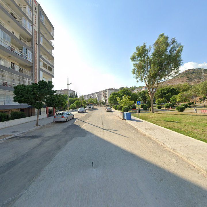 Fotoğraf 9