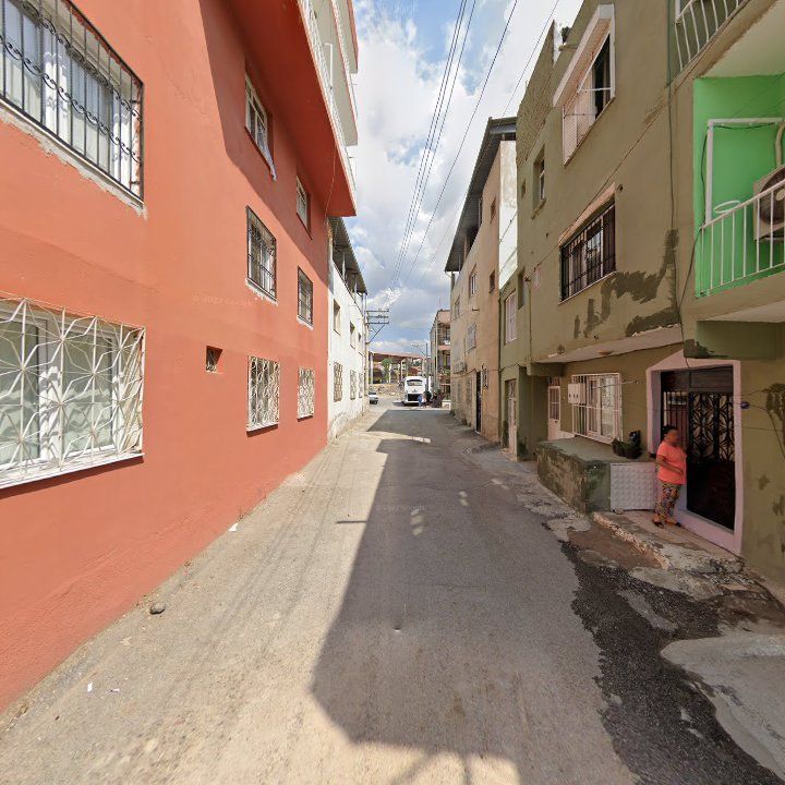 Fotoğraf 7