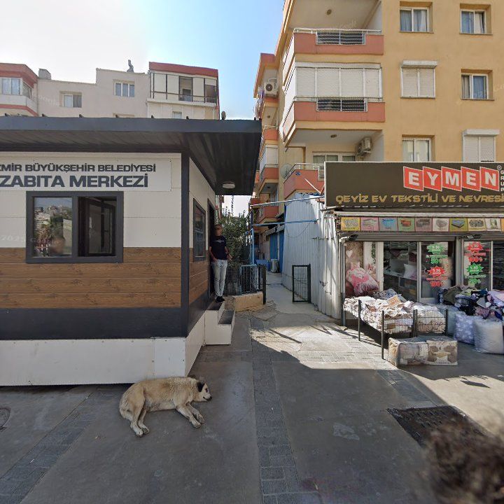 Fotoğraf 13