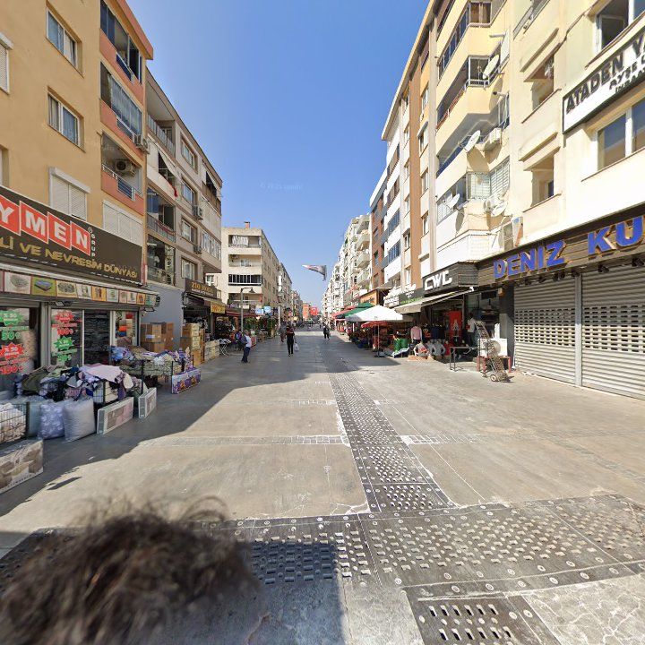 Fotoğraf 10