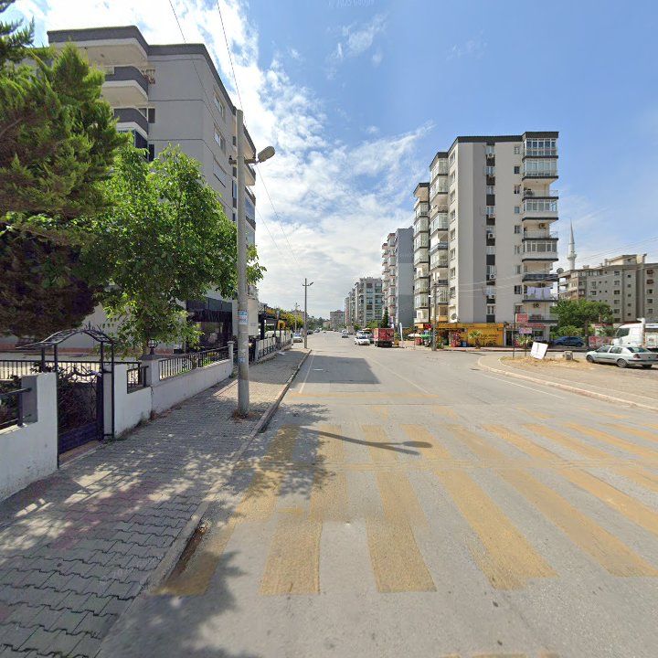 Fotoğraf 3