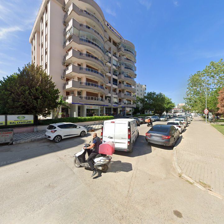 Fotoğraf 6