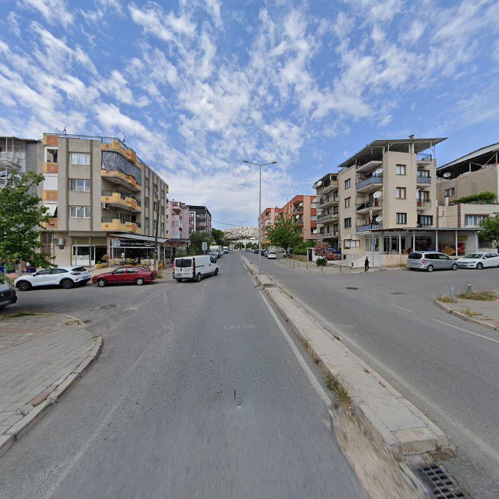 Fotoğraf 12