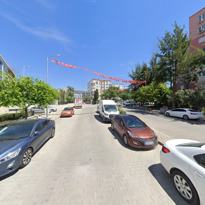 Fotoğraf 8