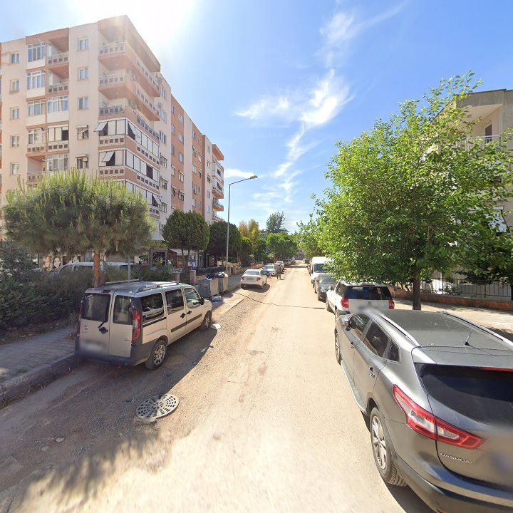 Fotoğraf 6
