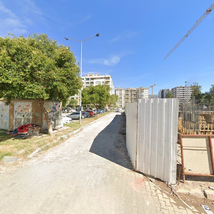 Fotoğraf 12