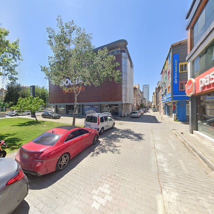 Fotoğraf 10