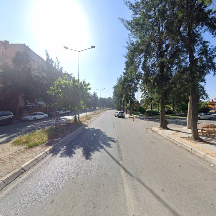 Fotoğraf 6