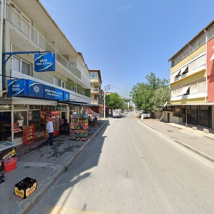 Fotoğraf 7