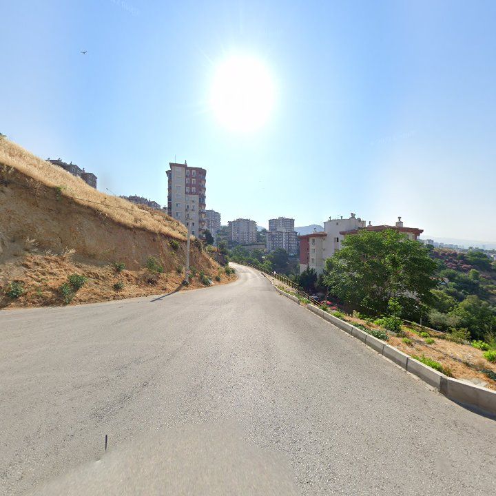 Fotoğraf 9