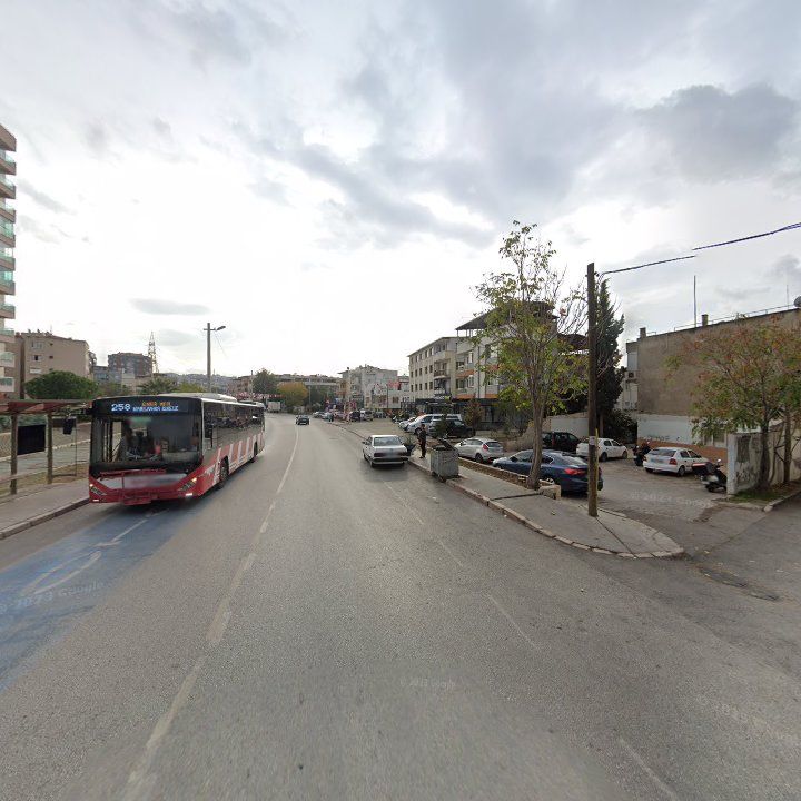 Fotoğraf 9