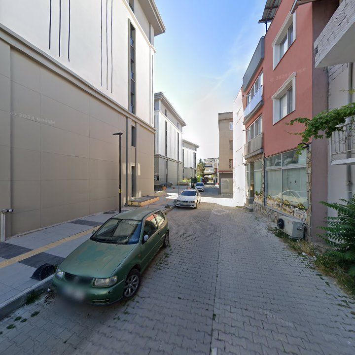 Fotoğraf 8