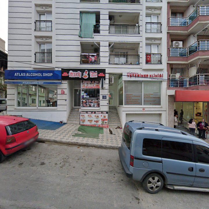 Fotoğraf 13