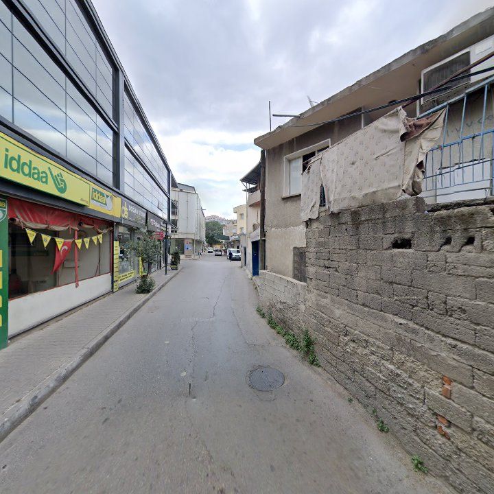 Fotoğraf 8