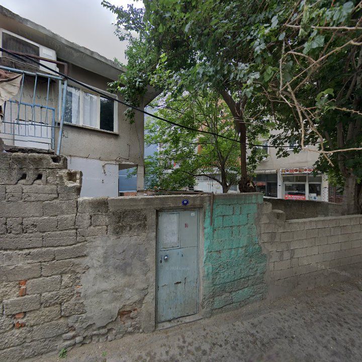 Fotoğraf 9