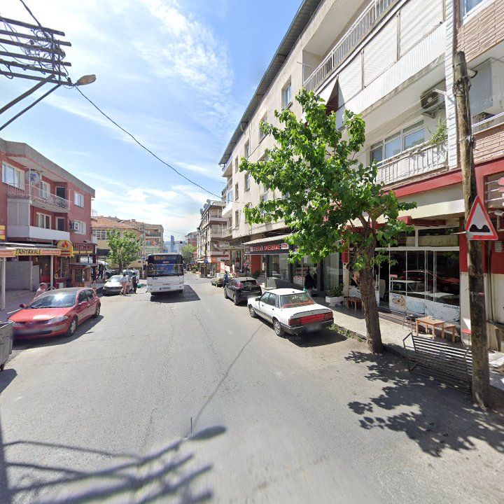 Fotoğraf 7