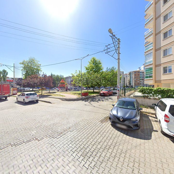 Fotoğraf 10