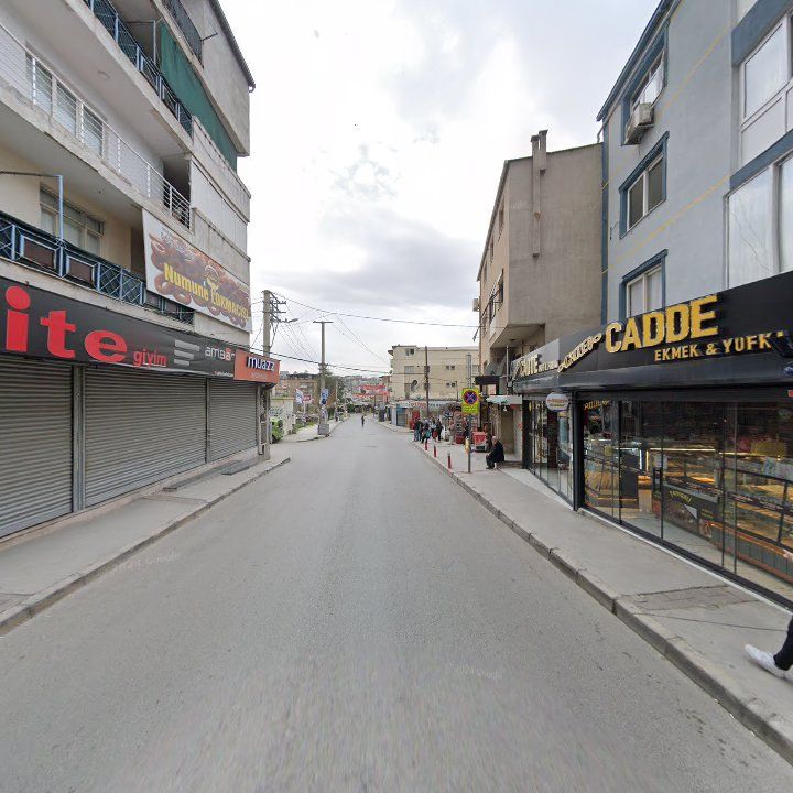 Fotoğraf 7