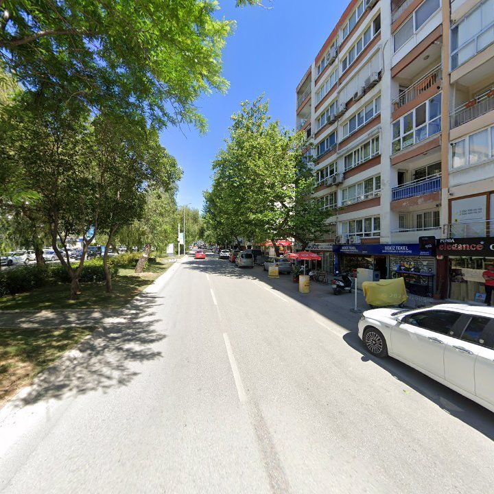 Fotoğraf 11