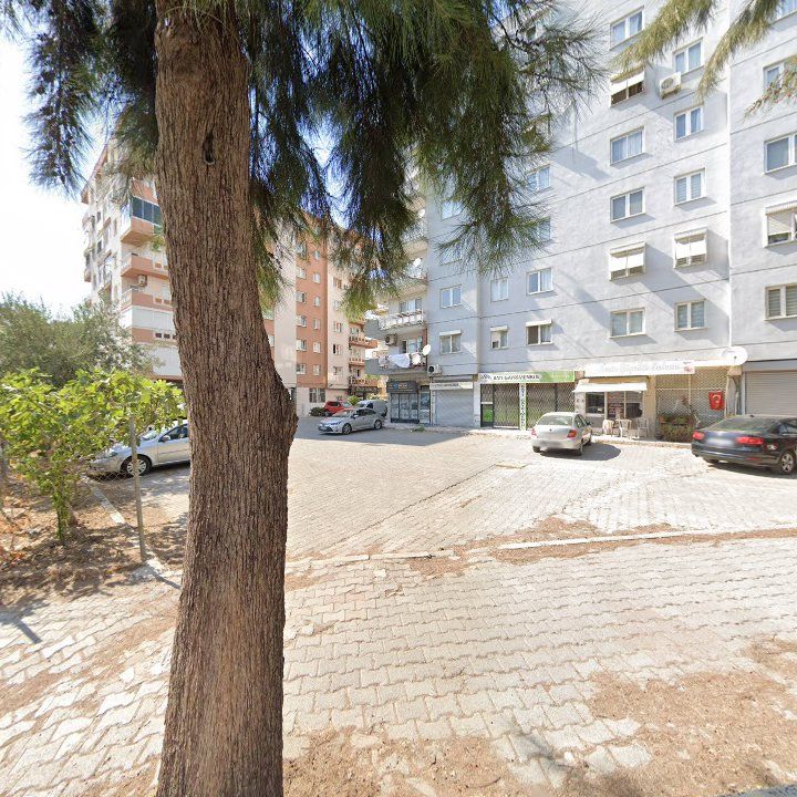 Fotoğraf 10