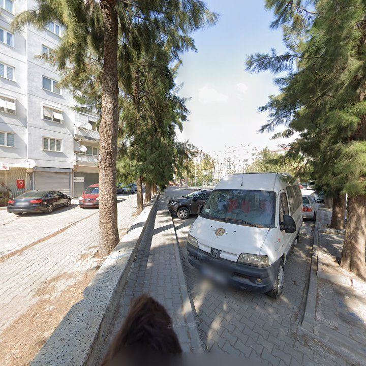 Fotoğraf 11