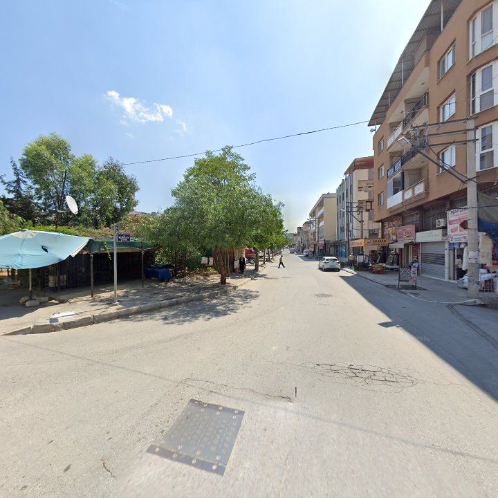 Fotoğraf 3
