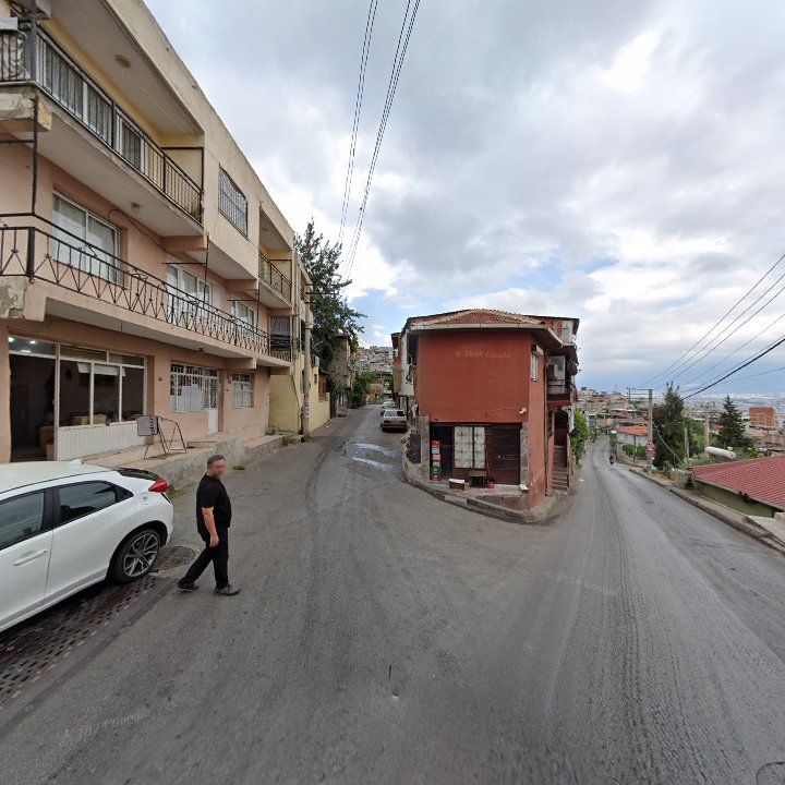 Fotoğraf 6