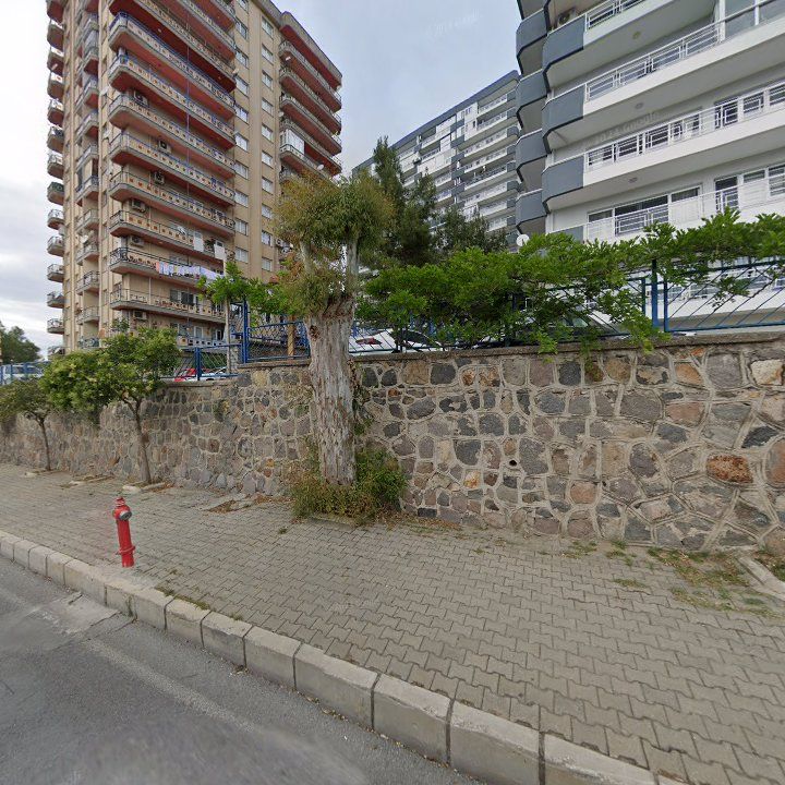 Fotoğraf 10