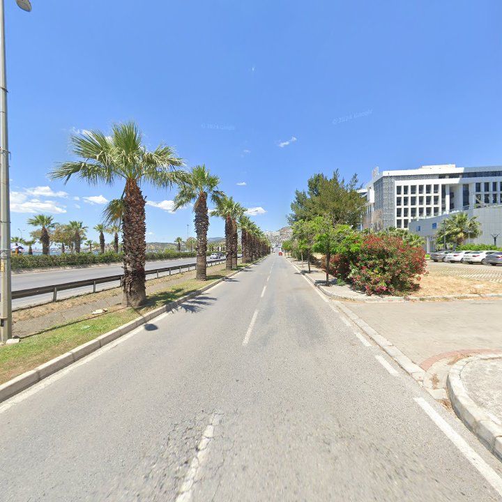 Fotoğraf 10