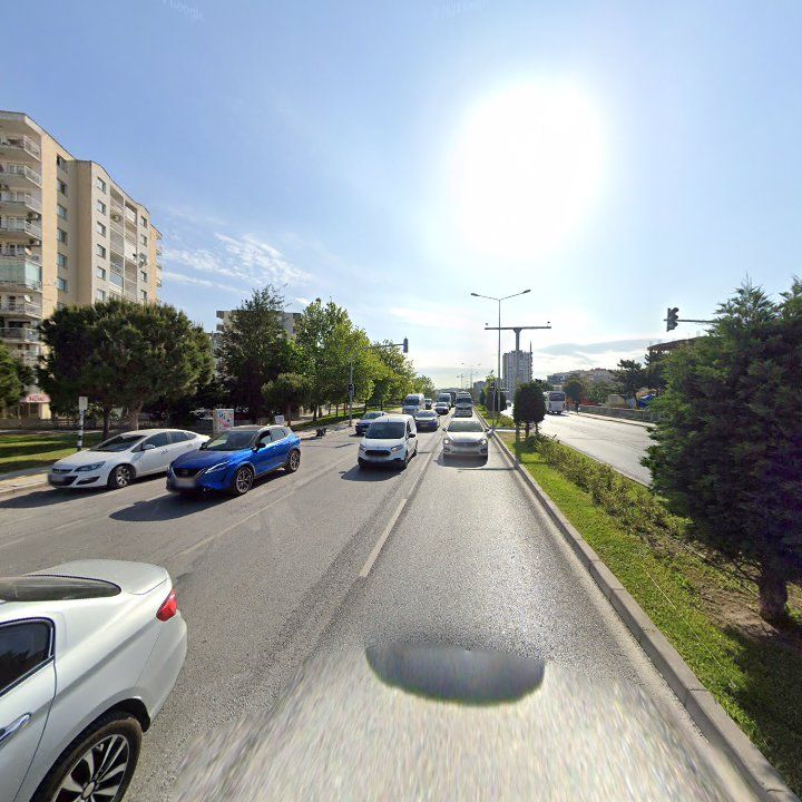 Fotoğraf 15