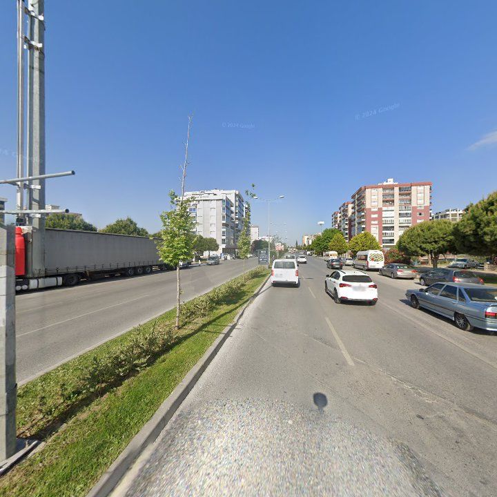 Fotoğraf 17