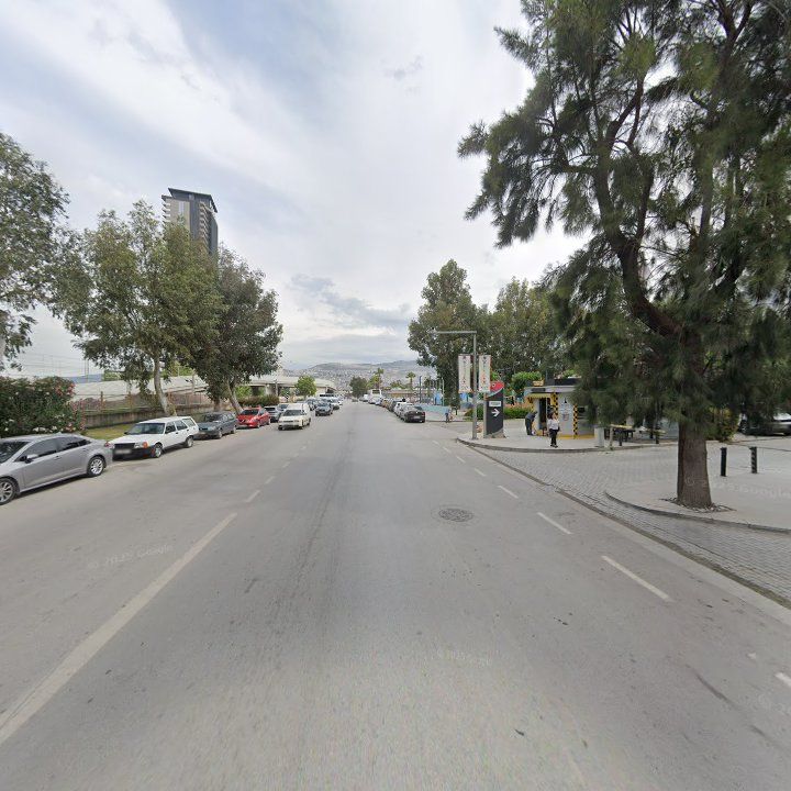 Fotoğraf 9