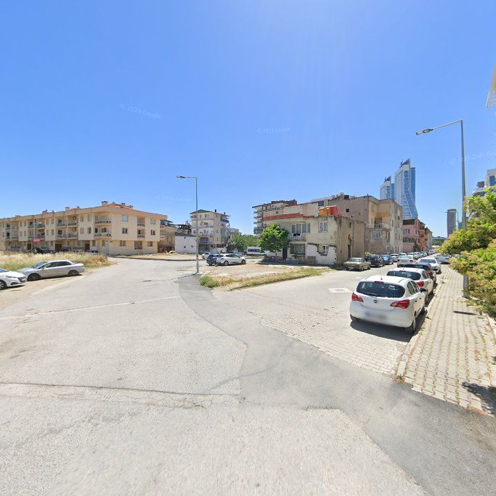 Fotoğraf 11
