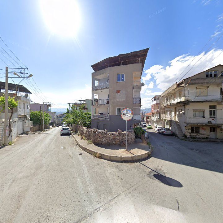 Fotoğraf 3
