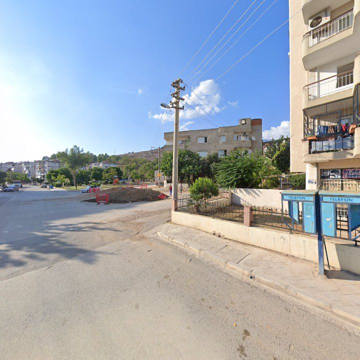 Fotoğraf 7
